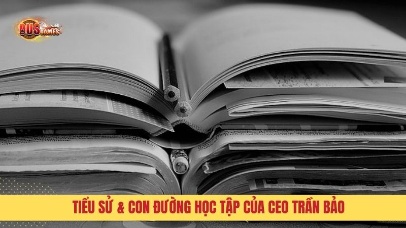 Tiểu sử và con đường học tập của CEO Trần Bảo